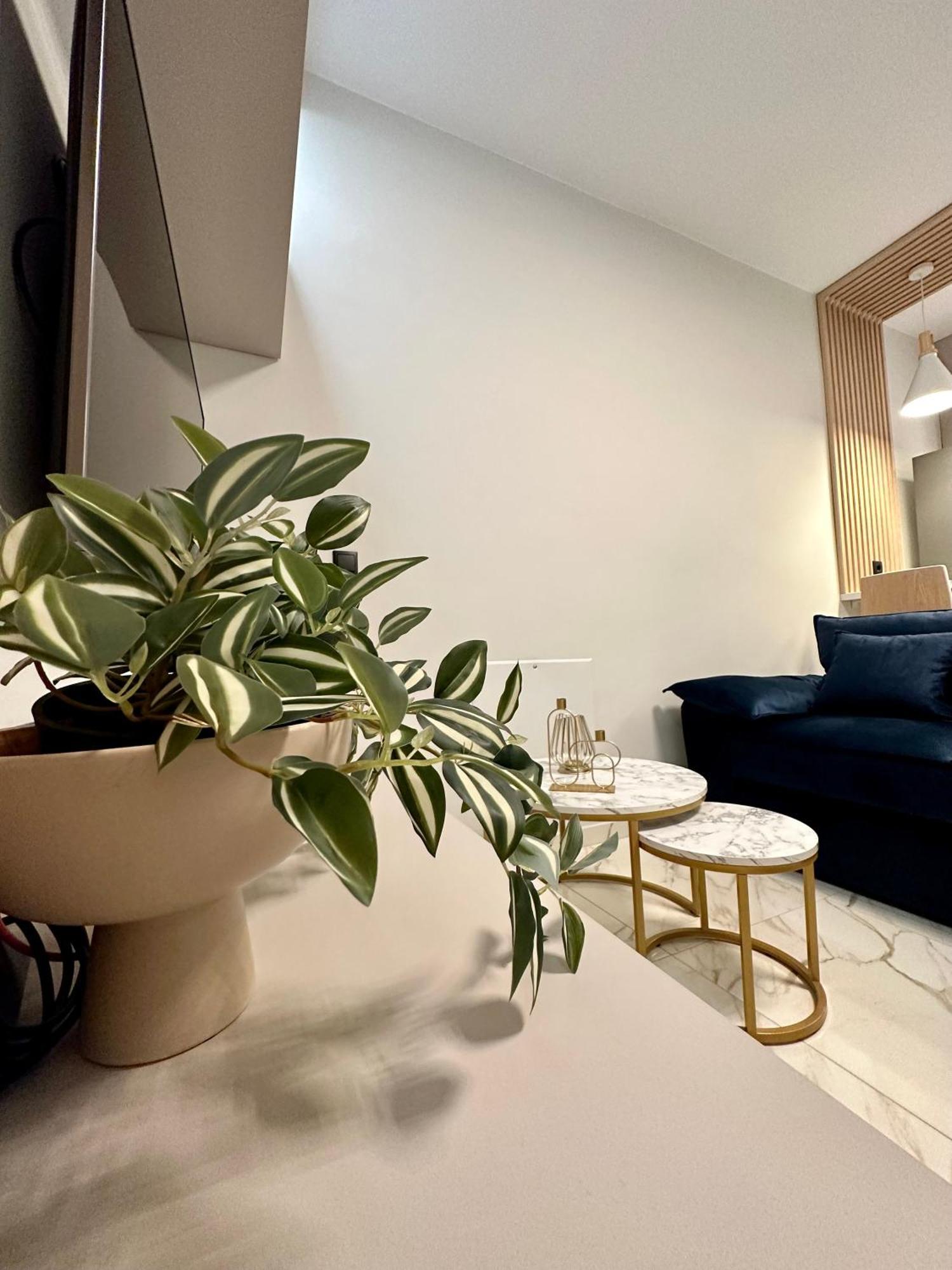 Klelia Golden Suite อเล็กซานโดรโพลิส ภายนอก รูปภาพ
